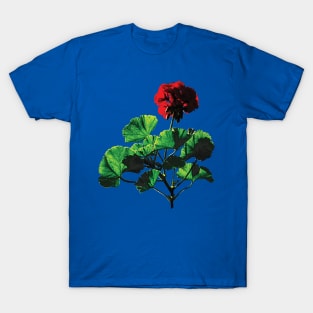 Backlit Red Geranium T-Shirt